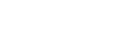 wiremasters-logo